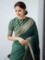 Handloom Georgette Banarasi