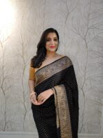 Handloom Georgette Banarasi - Image 8