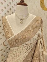 Handloom Georgette Banarasi - Image 42