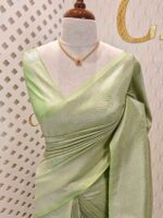 Banarasi with bias line and diamond border - Image 29