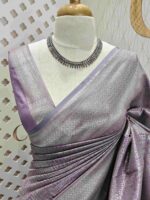 Banarasi with dotted box design - Image 9