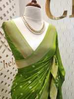 Georgette Banarasi with flower bush border - Image 24