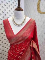 Georgette Banarasi 2 bias line design - Image 35