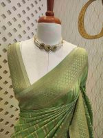 Georgette Banarasi 2 bias line design - Image 63
