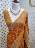 Georgette Banarasi 2 bias line design - Image 27