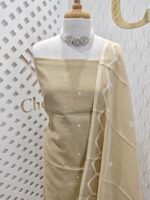 Chanderi Salwar With fence pressed embroidery - Image 6