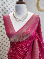 Georgette Banarasi 2 bias line design - Image 84