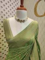 Georgette Banarasi 2 bias line design - Image 77