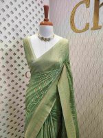 Georgette Banarasi 2 bias line design - Image 75