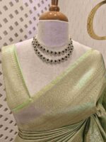 Banarasi with diamond shape buttas and small mango design on border - Image 33