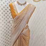 Banarasi with diamond and floral vein strock