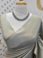 Banarasi with full blossom weave - Image 21