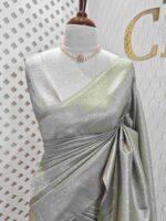 Banarasi with ring  around bud design - Image 26