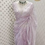 Organza with peal work scalped border with veins and flower design