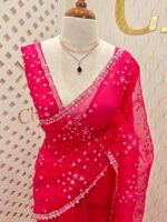 Organza with hanging sequance scalp border - Image 34