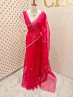 Organza with hanging sequance scalp border - Image 36