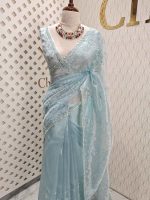Organza with hanging sequance scalp border - Image 7