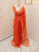 Organza with hanging sequance scalp border - Image 39