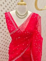 Organza with hanging sequance scalp border - Image 43