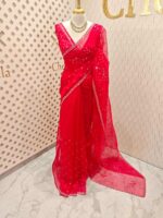 Organza with hanging sequance scalp border - Image 44