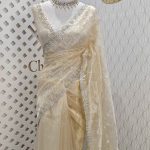 Organza with climber plant thread work with cut beads and stone