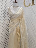 Organza with climber plant thread work with cut beads and stone