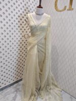 Organza with hanging sequance scalp border - Image 30
