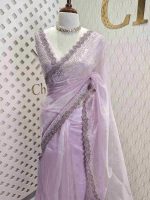 Organza with zigzag border filled with sequance