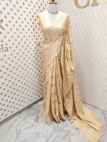 Semi tussar with bias digital print and cross thread border - Image 3