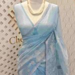 Organza with paisley thread pattern