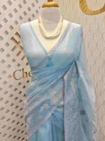 Organza with paisley thread pattern
