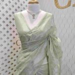 Organza with florals and leafy applique embroidery work