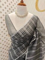 Organza banarasi with vertical stripes pattern