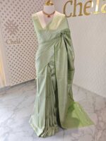Banarasi with leafy arch design - Image 6