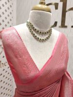 Banarasi with 3 leafy and veiny designs - Image 11
