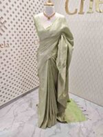 Banarasi with 3 leafy and veiny designs - Image 15