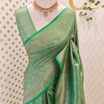 Banarasi with 2 end brocade pattern and double border