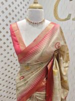 Chanderi with multi colour floral jaal design and temple like border