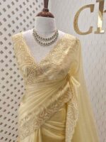 Tissue organza with mango shaped pearl embroidery design on border
