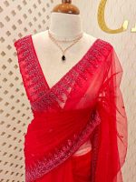 Net saree with leafy sequenced and beads work on border