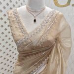 Organza with Turkish big work and horizontal beads, sequence work