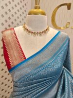 Banarasi with peacock leaf buttas zari work with contrast blouse - Image 20