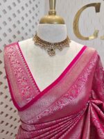 Banarasi with 3 leafy and veiny designs - Image 25