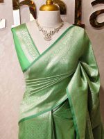 Banarasi with ring around and diamond shaped boarder - Image 16