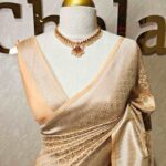 Banarasi with jangle pattern and detailing floral motif