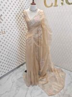 Organza with satin thread work and mirror, beads work - Image 25