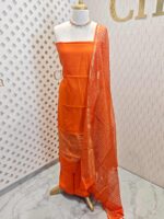 Salwar with plain body and golden zari thin multiple line border - Image 9