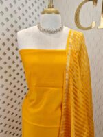 Salwar with plain body and golden zari thin multiple line border - Image 16