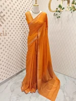Tissue banarasi with dots on full body portion along with thin boarder - Image 6