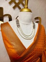 Tissue banarasi with diamond shaped small prints on full body with thin boarder - Image 30